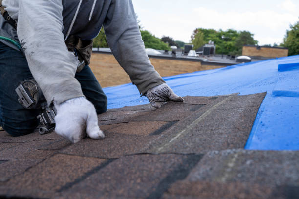 Best Commercial Roof Installation  in Mcleansboro, IL