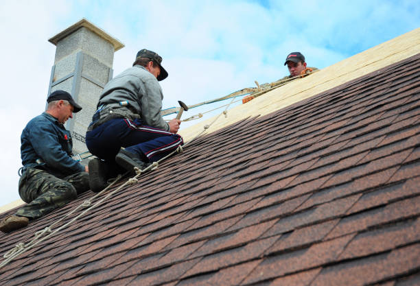 Best Shingle Roofing Installation  in Mcleansboro, IL