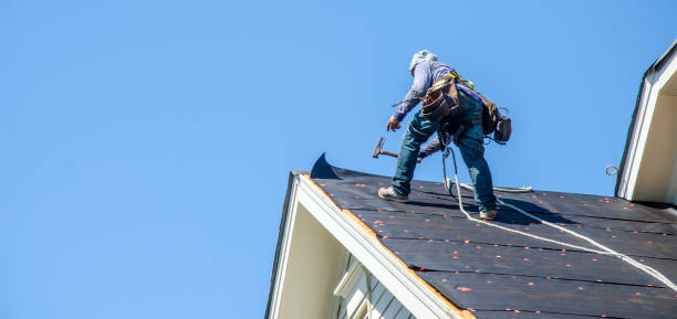 Best Storm Damage Roof Repair  in Mcleansboro, IL